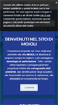 Mobile Screenshot of moiolitrivellazionepozzi.com